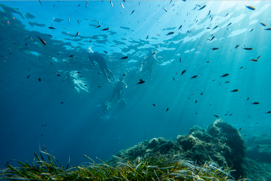 Sardinia_WestCoastBosa_snorkeling