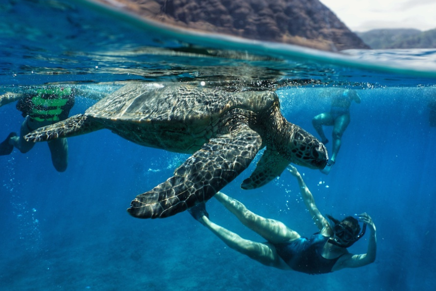 Tenerife_FourElements_snorkeling